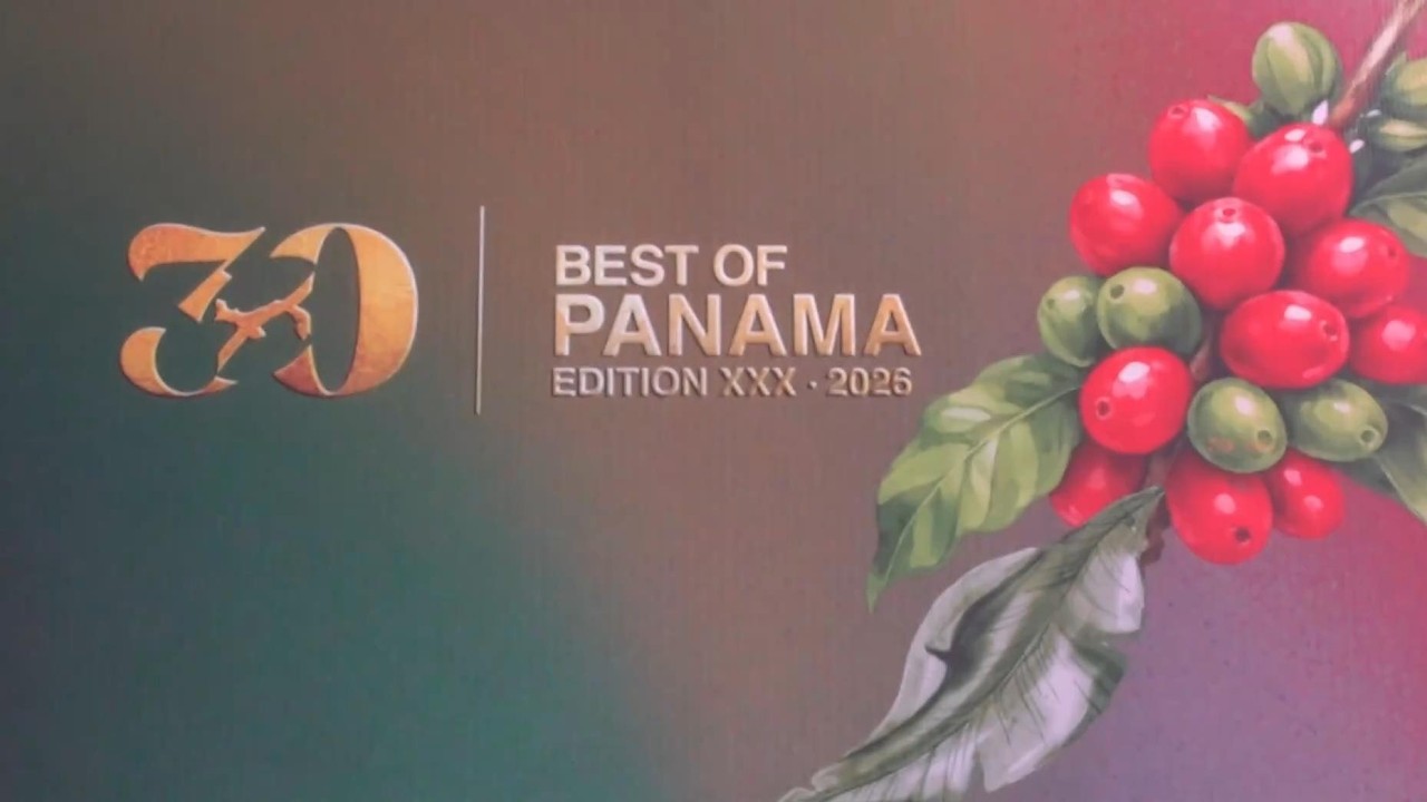 Ganadores del "Best of Panama" destacan mercado chino para el café panameño