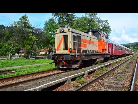 Manevra de Rebrusare R3076/3651 LDH1250 82 0562-7 - Bratca, judetul Bihor (23 07 2014)