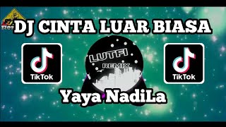 Download lagu DJ TIKTOK CINTA LUAR BIASA ( Yaya NadiLa ) MIX TERBARU mp3