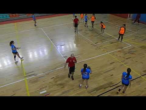 Engenharia FAM X Veterinaria Anhembi Morumbi - VI Camp.  Hand.  Fem - 2018 -  InterAtléticas