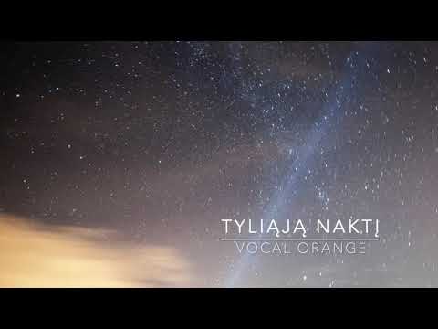 Tyliąją naktį (N. Sinkevičiūtė/J. Naujalis) - Frauenensemble vocal orange