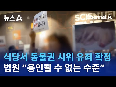 최근 동물보호단체 관련 판결