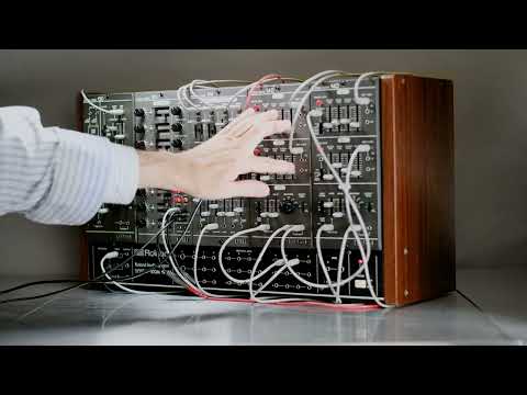 RYK Modular M114 Complex Oscillator module for Roland System 100m Demos and music