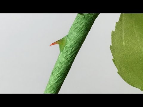 ABC TV | 2 Tips - How To Make Thorns For Rose Paper Flower - Craft Tutorial