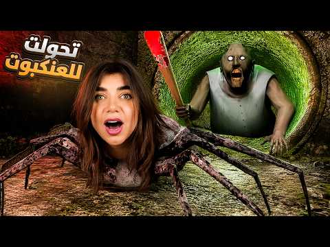 تحولت لجراني العنكبوت 