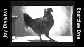 Joy Division - Exercise One