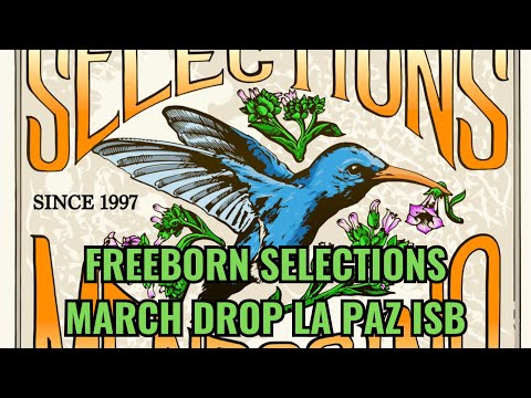 Freeborn Selections La Paz ISB March Drop. April 2, 2025.