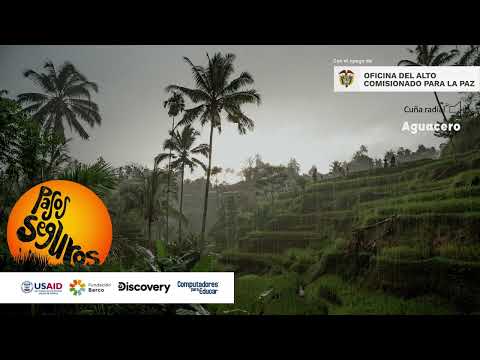 Cuña radial 3  Pasos Seguros - aguacero