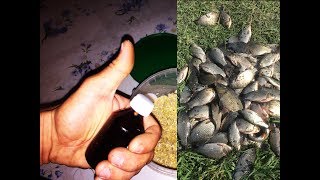 Ссылка