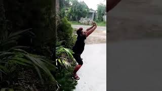 Download lagu Ajian Guntur Saketi #shortsvideo #shortvideo #shorts #fyp #viralshorts #dagelanjowo #videolucu mp3