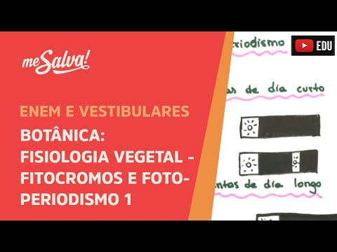 Me Salva! BOT34 - Botânica - Fisiologia vegetal: fitocromos e fotoperiodismo I