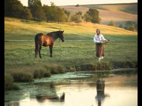 Aurica Dicusară Basarabeanca - Cocorii