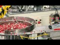 Daier Electron Co., Ltd. Factory Workshop Video