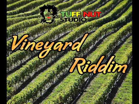 Vineyard Riddim [Promo Mix] #Tuff Nut Studio July 2015 BY DJ O. ZION