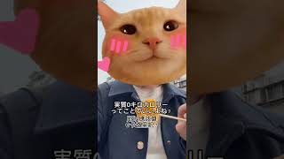 台灣的街頭誘惑也太多了吧！台湾OL誘惑に負ける退勤後😂 #台湾生活 #上班族 #台湾夜市 #地瓜球