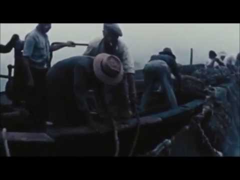 Tuna's Men - Trinacria Express