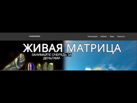 LIVINGMATRIXX СТАРТОВАЛ!