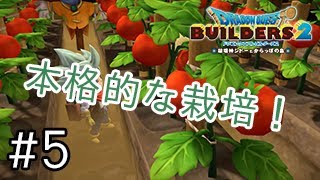 【DQB2】#5トマトも栽培できた！色々な栽培方法があって楽しいです【ドラゴンクエストビルダーズ2実況】
