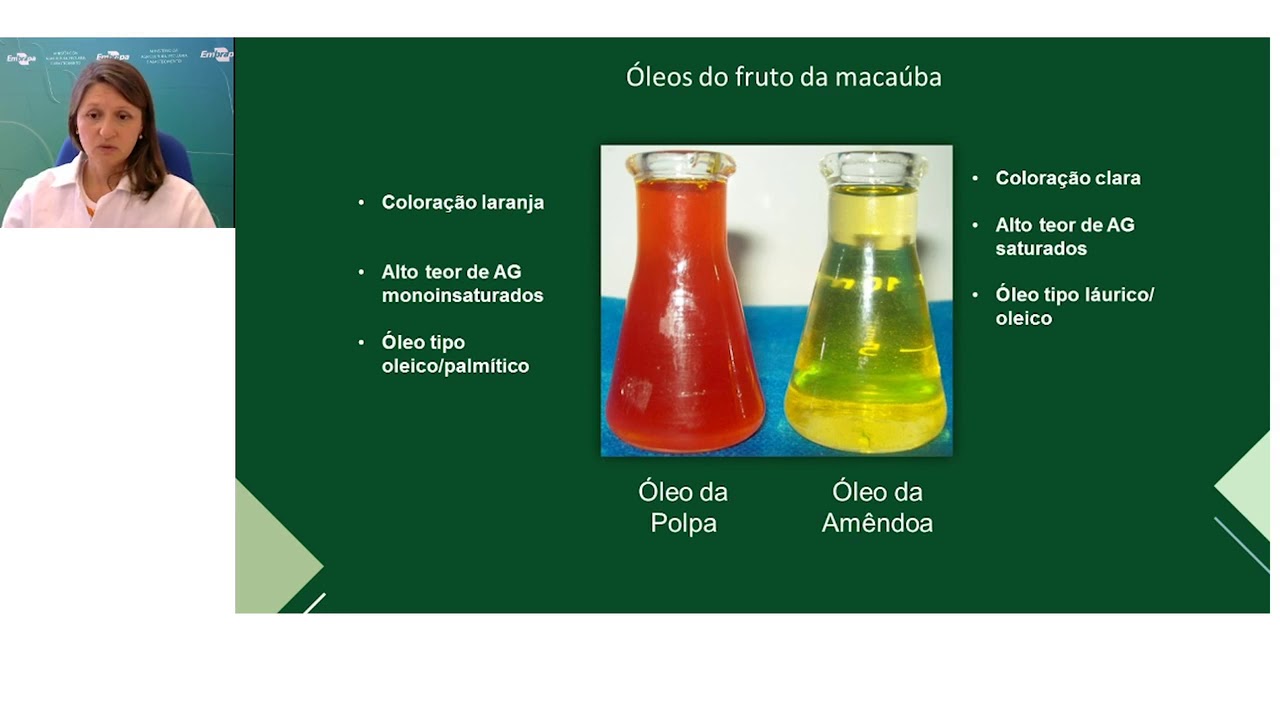 Extração de óleo de polpa de macaúba assistida por enzimas