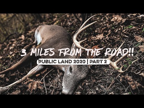 13 POINT INDIANA Public Land BUCK 3 Miles FROM THE ROAD!!!