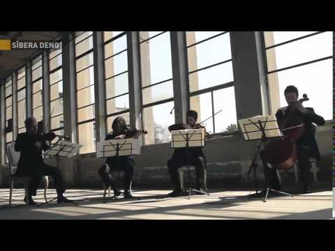 Anadolu Quartet - Dersim Dört Dağ İçinde (by ziruh)