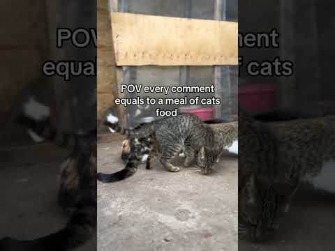 please don't sorcll my engagement is really low a simple hi will help our stray cats get food