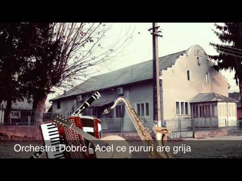 Orchestra Dobric - Acel ce pururi are grija