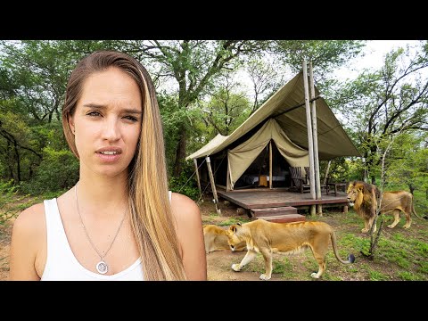 Living Wild in South Africa (Kruger National Park)