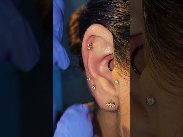 Vídeo relacionado con LOLIAS 20 Piezas Tragus Cartílago Piercing Helix Stud Pendientes para Mujer Hombre Piercing Oreja Labio Nariz Acero Inoxidable CZ Bolas Corazón Flor Medusa Flatback Piercing 16G