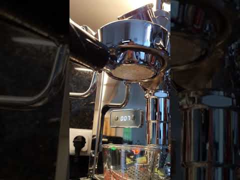 ECM Synchronika 100% Robusta