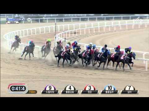 2011 Breeders' Cup (G3) - Good Time