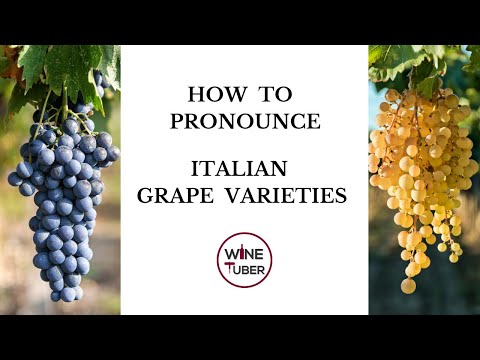 Pronouncing common Italian grape varieties. | @WineTuber