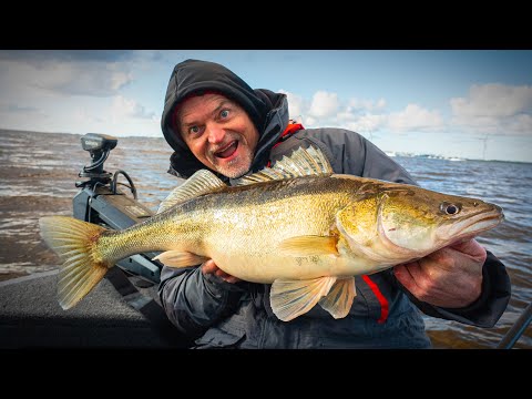 Zanderangeln im Winter - Top Stellen & fängige Köder