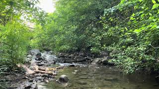 Spending time in nature improve sleep quality, reducing stress, and promoting relaxation