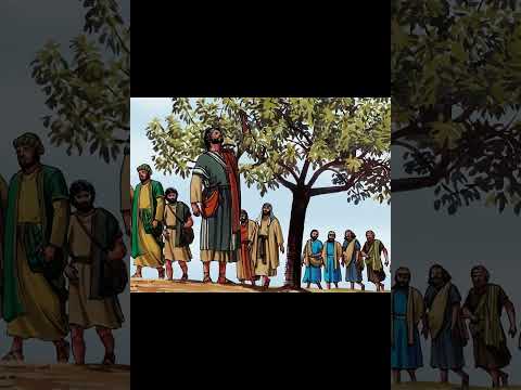 THE PASCHAL BLESSING AND ALL ROUND FRUITS