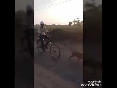 Sukhjinder nic video