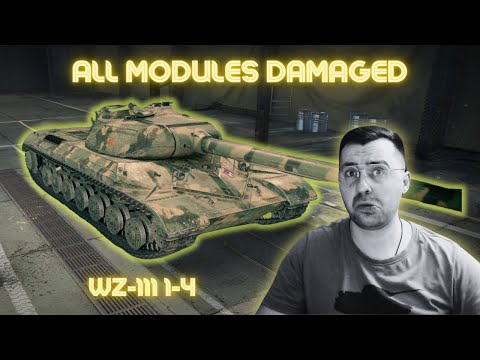 WZ-111 1-4 - All The Module Damage
