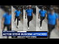 Police searching for man after actor Steve Buscemi punched in the face in random attack