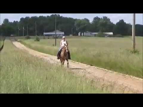 Shad's Super Trigger Updated #2