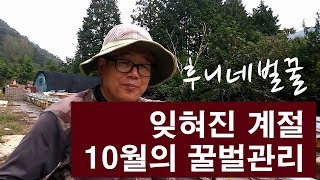 잊혀진 계절 10월의 꿀벌관리 계획, 산란권 확보, 먹이장 만들기, 응애방제