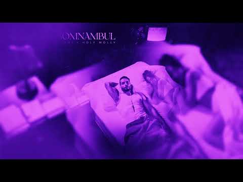 RANDI x Holy Molly - Somnambul  (Speed-up Version) | NIGHTCORE Remix