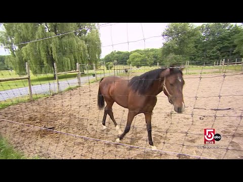 Middlebury, Vermont is more than just a college town