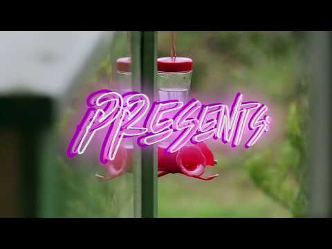 LOVE NATURE? the MOST BEAUTIFUL thing you MUST see today - by FAVIGRAPHY -