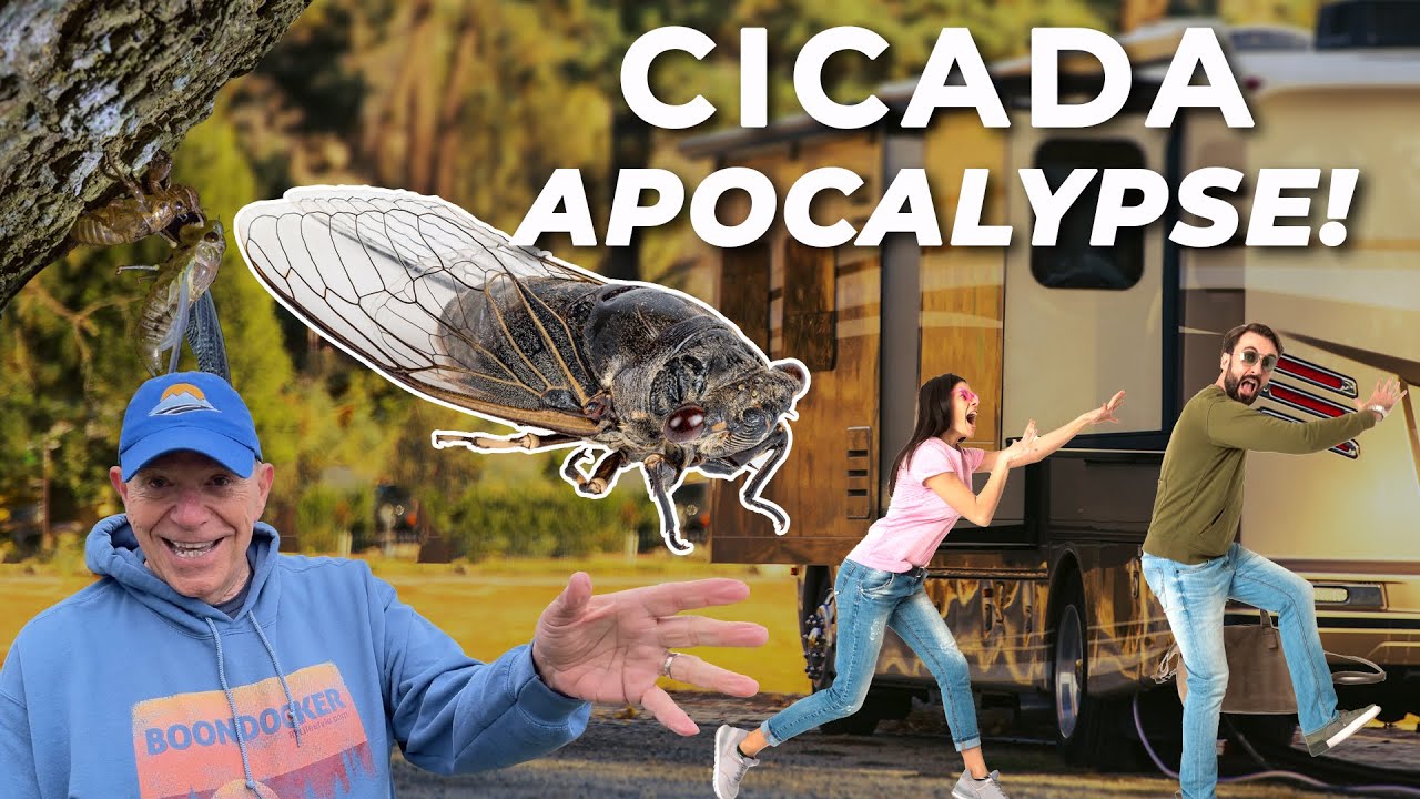 The Coming Cicada Apocalypse: What RVers Can Expect