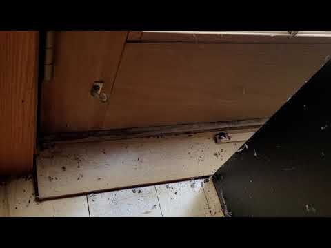 That's a Lot of Odorous House in This Home in Jackson, NJ