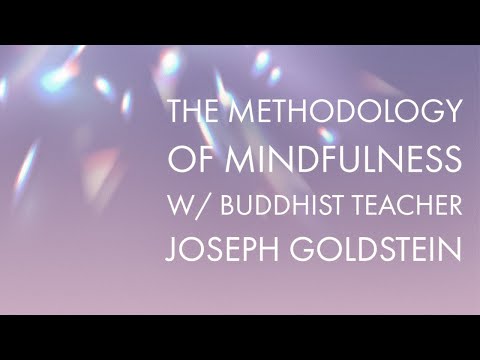 Joseph Goldstein – Insight Hour – Ep. 106 – The Methodology of Mindfulness
