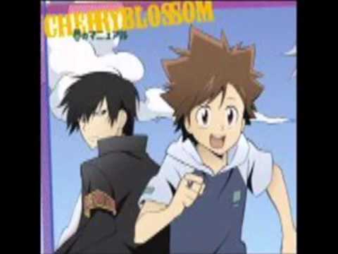 Yume no Manual - Tsunayoshi-vita XD