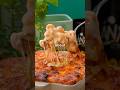 Is This The ULTIMATE MAC AND CHEESE