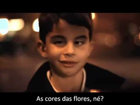 Educação ESPECIAL e INCLUSIVA  - As cores das flores