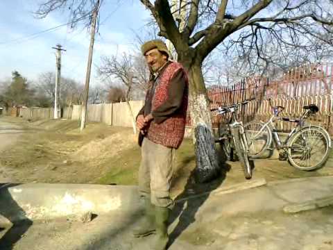 Pangastrin de la Grebanu zis ''Marele Vultur'' !.mp4